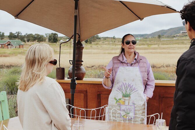 Lavender Field Guided Tour - What’s Included and What’s Not?