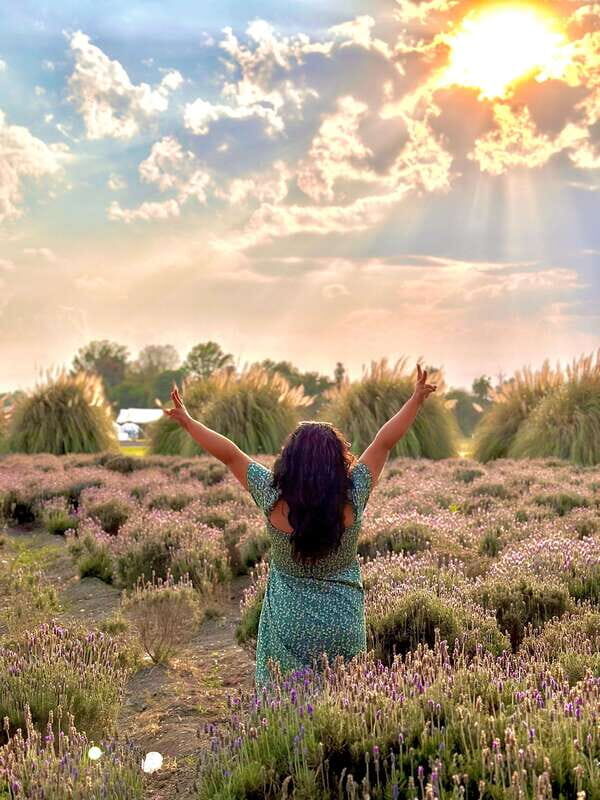 Lavender Ranch, Chautla and Val`Quirico. - Key Points