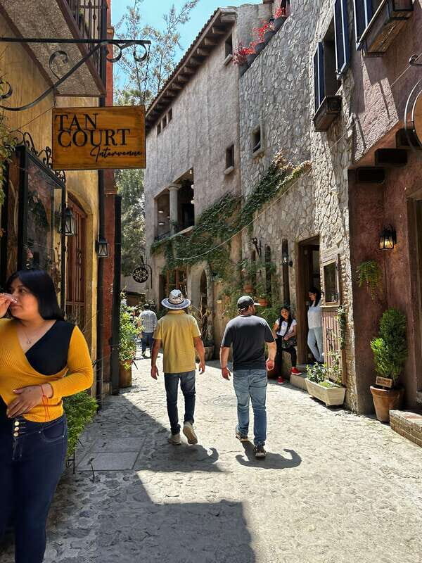 Lavender Ranch, Chautla and Val`Quirico. - The Sum Up