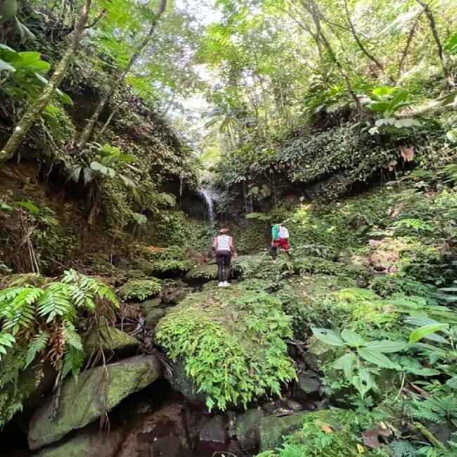 Lawyer Stephen Hike with Waterfall and Cave Hike - Overview of the Experience
