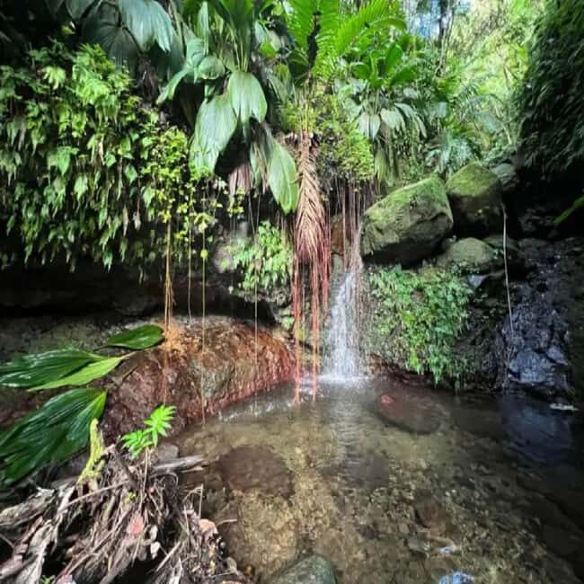 Lawyer Stephen Hike with Waterfall and Cave Hike - The Two Hiking Options: Moderate or Advanced