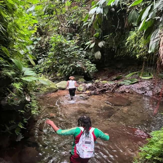 Lawyer Stephen Hike with Waterfall and Cave Hike - The Scenic Highlights