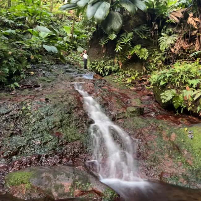 Lawyer Stephen Hike with Waterfall and Cave Hike - Practical Details and Value