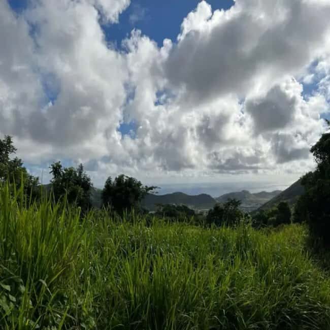 Lawyer Stephen Hike with Waterfall and Cave Hike - What We Loved and Considerations