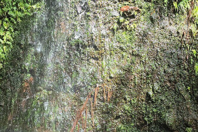 Lawyer Stephens Cave & Waterfalls Hike - Why This Tour Delivers Value