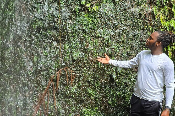 Lawyer Stephens Cave & Waterfalls Hike - Authentic Reviews Confirm the Experience