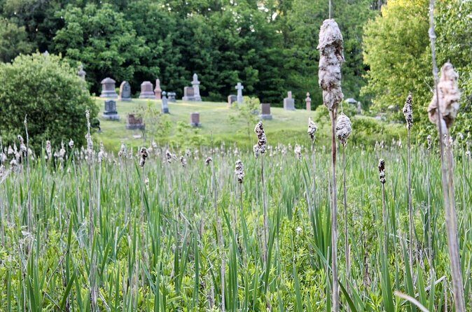 Layers of Natural History: Picton Nature Self-Guided Audio Tour - Authentic Experiences from Reviews