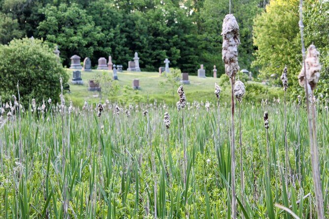 Layers of Natural History: Picton Nature Self-Guided Audio Tour - Who Will Love This Tour?
