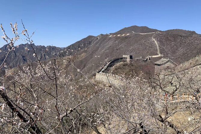 Layover Trip to Great Wall with English Driver in Beijing - What Makes This Tour Stand Out?