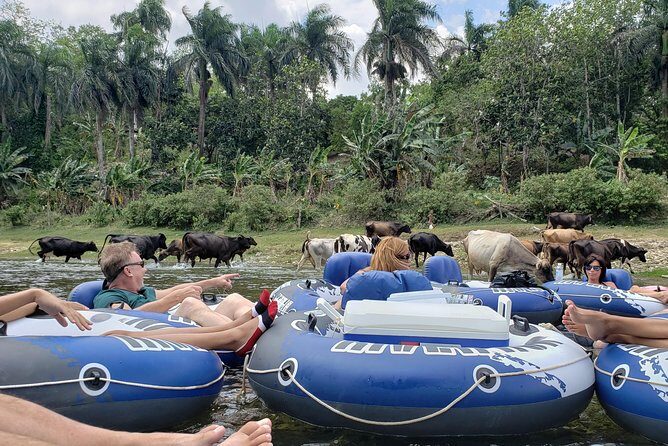 Lazy River Tubing Cabarete, Dominican Republic - Final Thoughts