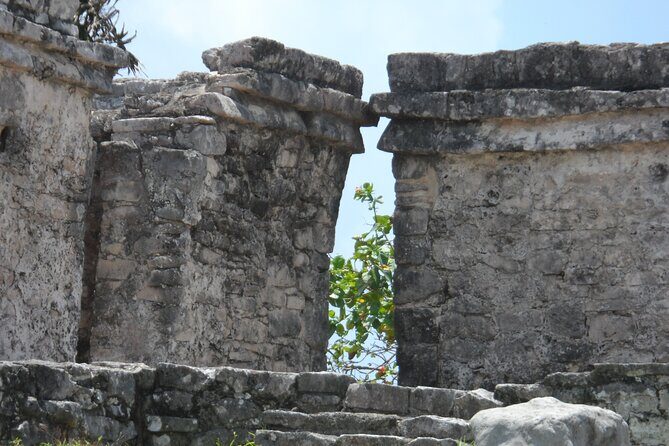 LDS Tour to Tulum Ruins + Cenote - Practical Details and Tips