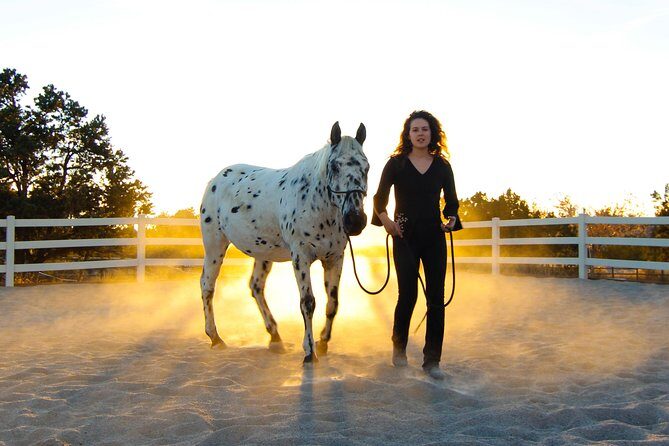 Leadership & Mindfulness Retreat with Horses - Individual & Group - An Introduction to the Experience