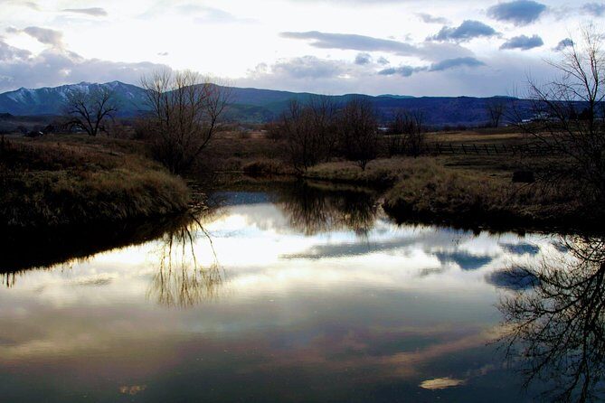 Leadership & Mindfulness Retreat with Horses - Individual & Group - The Value of the Experience