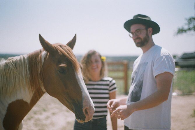 Leadership & Mindfulness Retreat with Horses - Individual & Group - Practical Details and Considerations