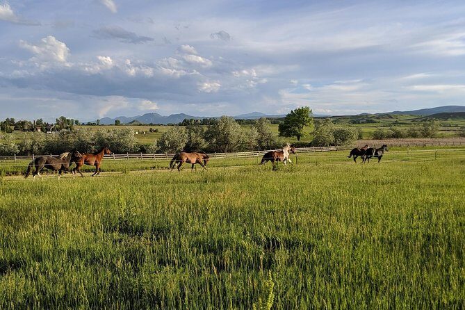Leadership & Mindfulness Retreat with Horses - Individual & Group - Who Should Consider This Experience?