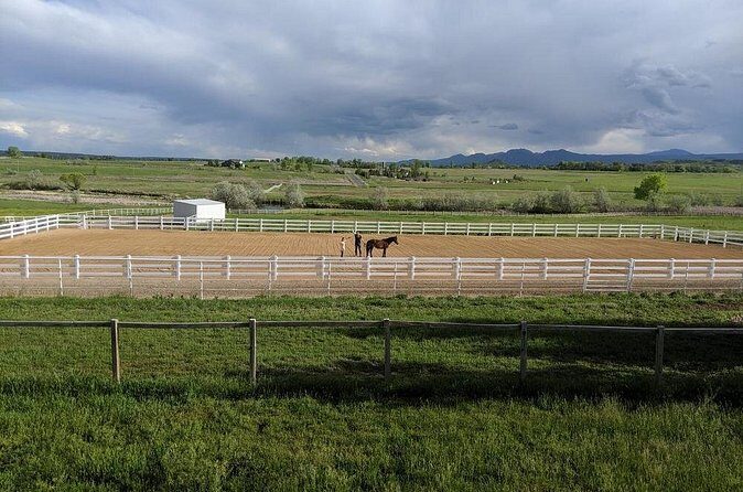 Leadership & Mindfulness Retreat with Horses - Individual & Group - Final Thoughts