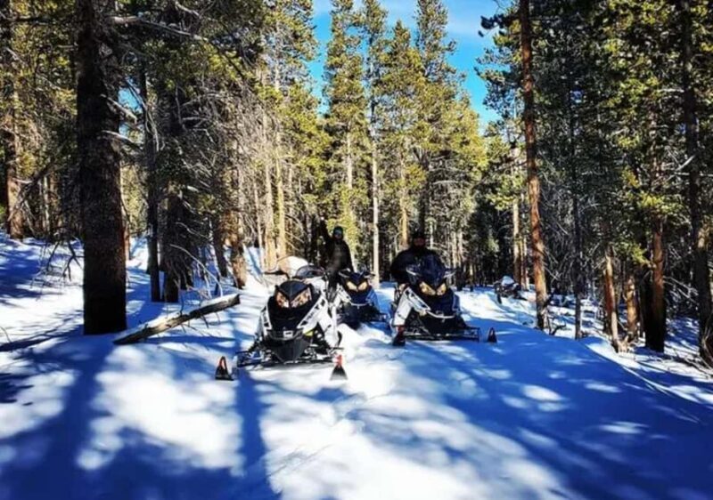 Leadville: Guided Snowmobile High Adventure Tour - An In-Depth Look at the Snowmobile Adventure