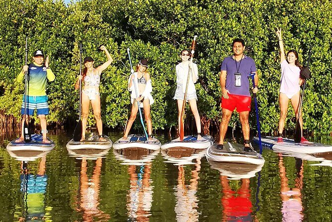 Learn Paddle Board and Explore the Mangroves of Progreso - Who Is This Tour Best For?