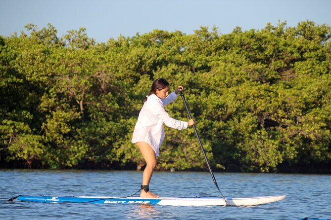 Learn Paddle Board and Explore the Mangroves of Progreso - Frequently Asked Questions