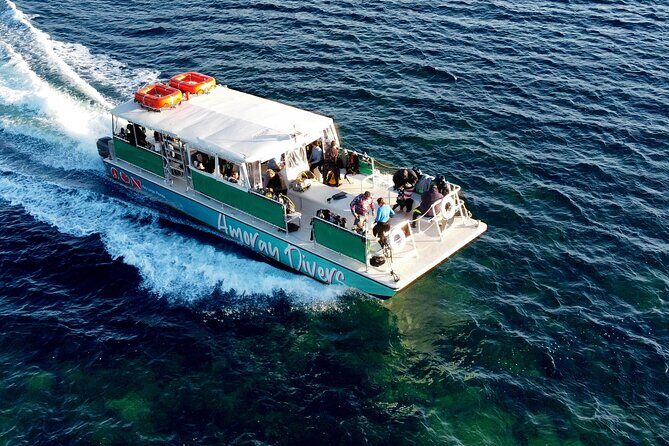 Learn to Scuba Dive with a Professional Instructor in Key Largo - All Inclusive - What Travelers Say
