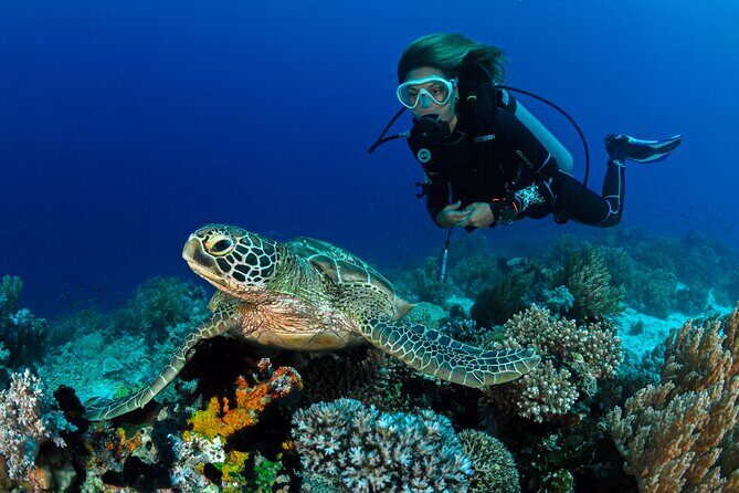 Learn to Scuba Dive with a Professional Instructor in Key Largo - All Inclusive - Pricing and Value