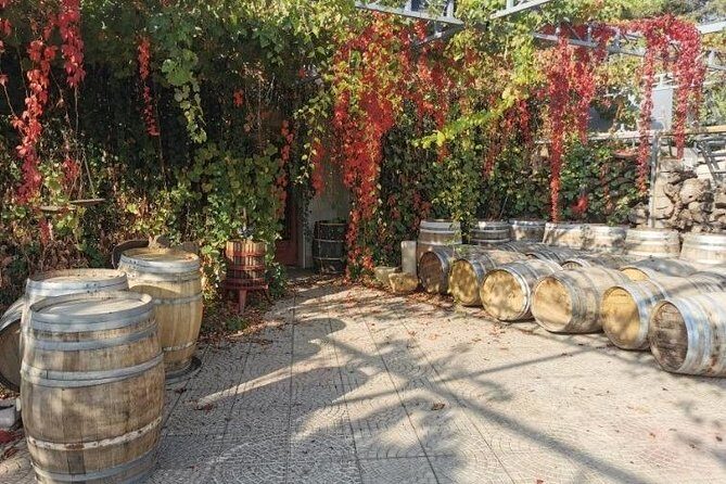 Lebanon Wine Tasting Tour From Beirut - Frequently Asked Questions