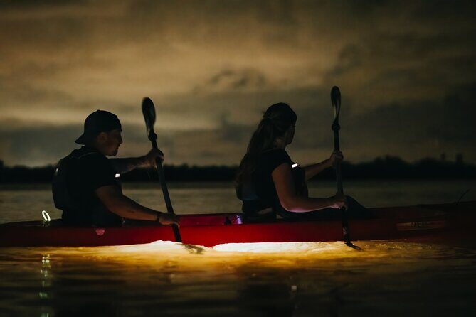 LED Bio Comb Jelly Clear Bottom Kayak or Paddleboard Tour! - Who Will Love This Tour?