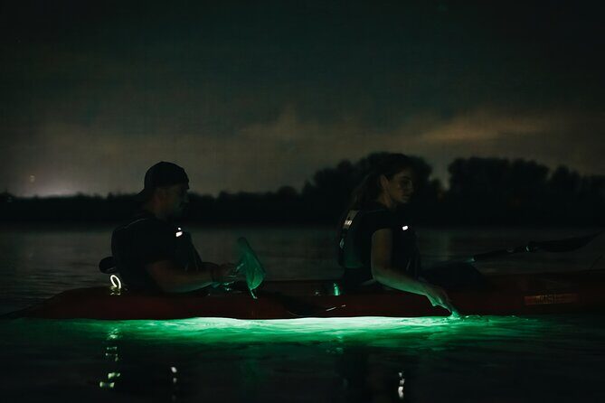 LED Bio Comb Jelly Clear Bottom Kayak or Paddleboard Tour! - Final Thoughts