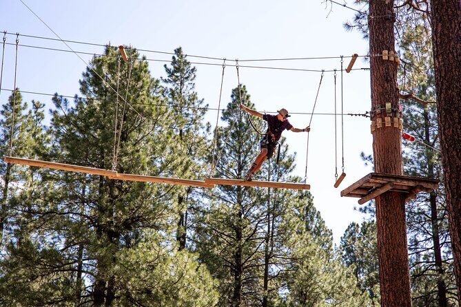 Ledgewood Adventure Course - A Closer Look at the Experience