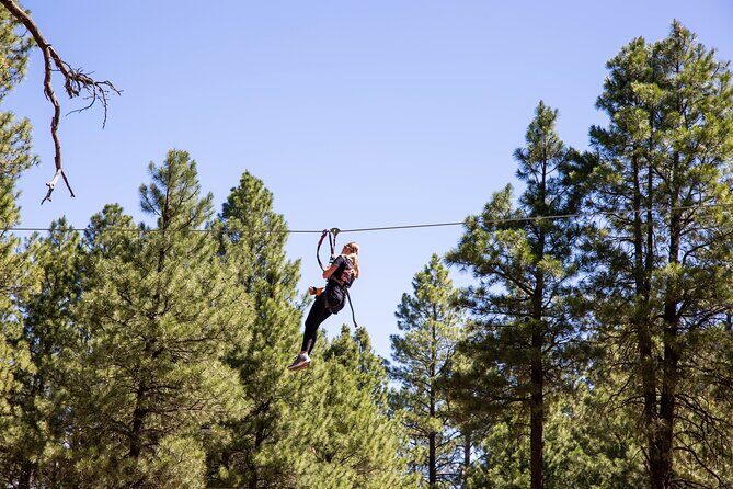 Ledgewood Adventure Course - Anatomy of a Typical Visit