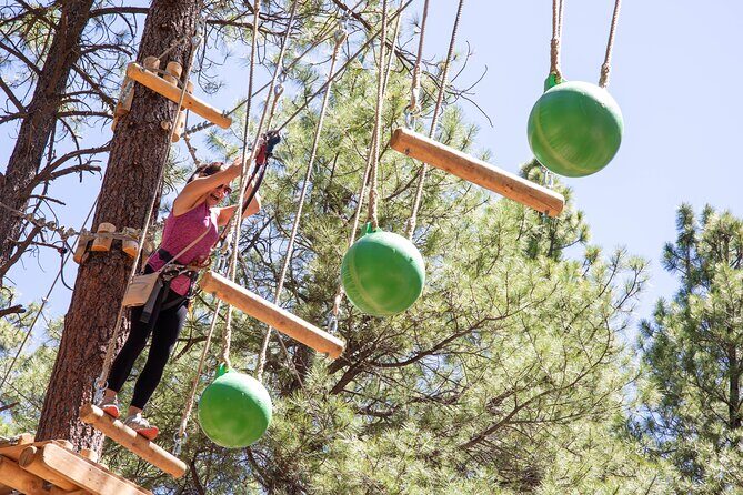 Ledgewood Adventure Course - Analyzing Value for Money