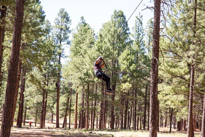 Ledgewood Adventure Course - The Best Fit for This Adventure