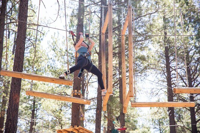 Ledgewood Adventure Course - Final Thoughts: Who Will Love It?