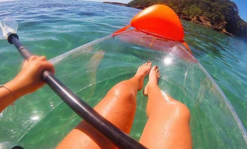 Leigh: Goat Island Clear Kayak Rental - Who Should Skip This Tour