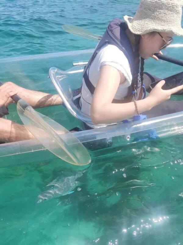 Leigh: Goat Island Clear Kayak Rental - The Sum Up: Is This Tour for You?