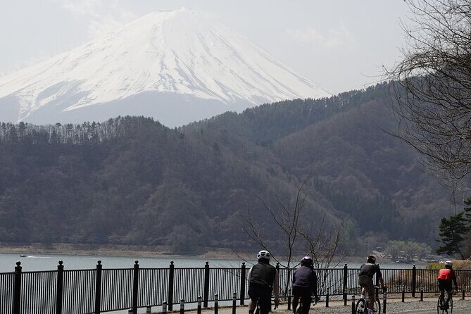 Leisure Cycling Tour Around Mt. Fuji's Five Lakes - Starting Point and Logistics