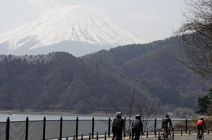 Leisure Cycling Tour Around Mt. Fuji's Five Lakes - Lunch and Local Cuisine