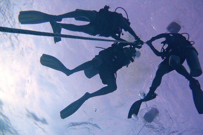 Leisure Diving | Fun Dives | 3 Dives in TARP, Kota Kinabalu - The Experience: What Sets It Apart