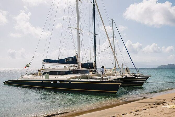 Leisure Full Day Catamaran (Blue, Aqua or LIC) - Who Will Love This Tour?