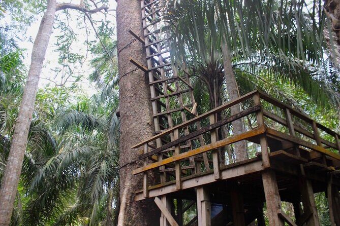 Lekki Conservation Center Extraordinary Tour - Exploring the Itinerary: What to Expect