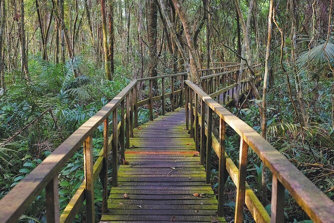 Lekki Conservation Center Extraordinary Tour - The Overall Value and Experience