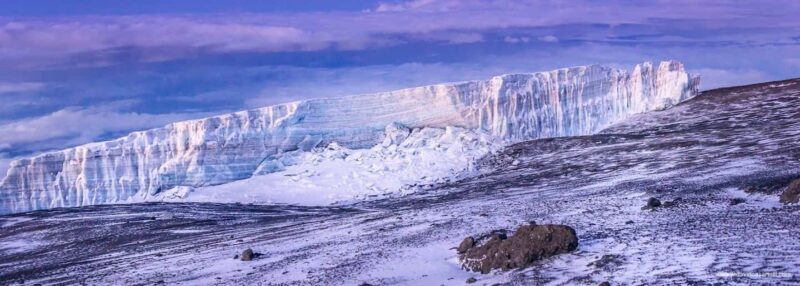 Lemosho Route 10 Days/ 9 Nights 8 Days on the Mountain. - An In-Depth Look at the Lemosho Route Experience