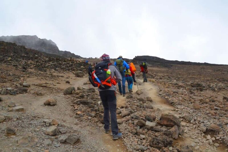 Lemosho Route 10 Days/ 9 Nights 8 Days on the Mountain. - Who Is This Tour Best For?