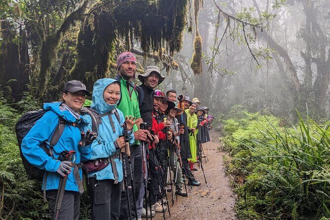 Lemosho Route 7 Days Trekking at Mount Kilimanjaro - Day 2: Heath and Moorland to Shira One Camp