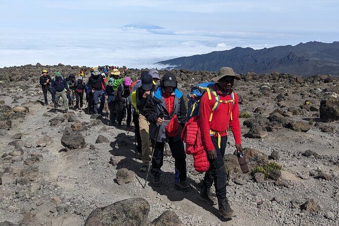Lemosho Route 7 Days Trekking at Mount Kilimanjaro - Day 7: The Final Descent and Return