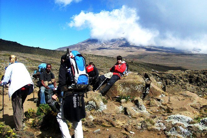 Lemosho Route 8 Days 7 Nights/Kilimanjaro Climb - Practical Details: What You Need to Know