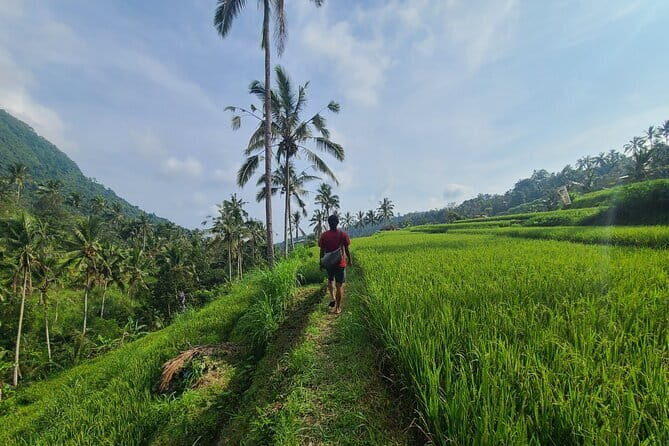 Lemukih Hidden Trekking Waterslide Sekumpul and Fiji Waterfall - Discovering North Bali’s Hidden Treasures