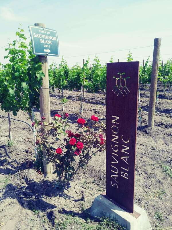 Leon: Dolores Hidalgo Viñedo Tres Raíces Wine Tour - The Itinerary and What It Tells You About the Experience