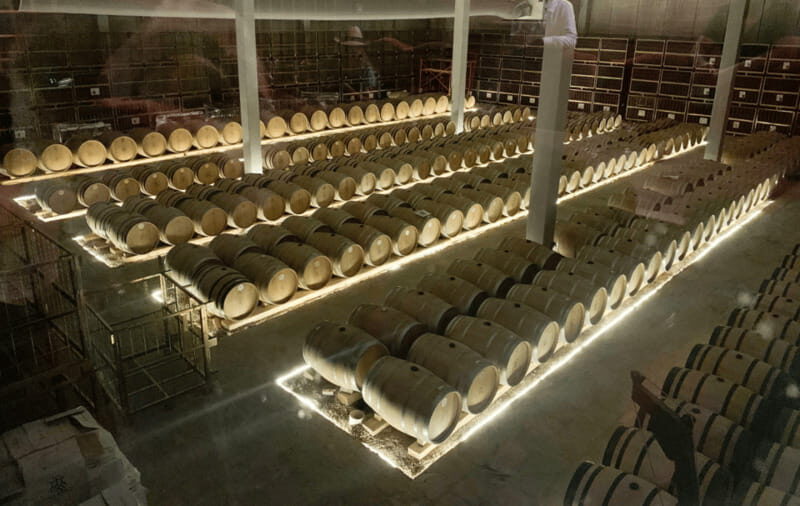 Leon: Dolores Hidalgo Viñedo Tres Raíces Wine Tour - Who Is This Tour Best For?
