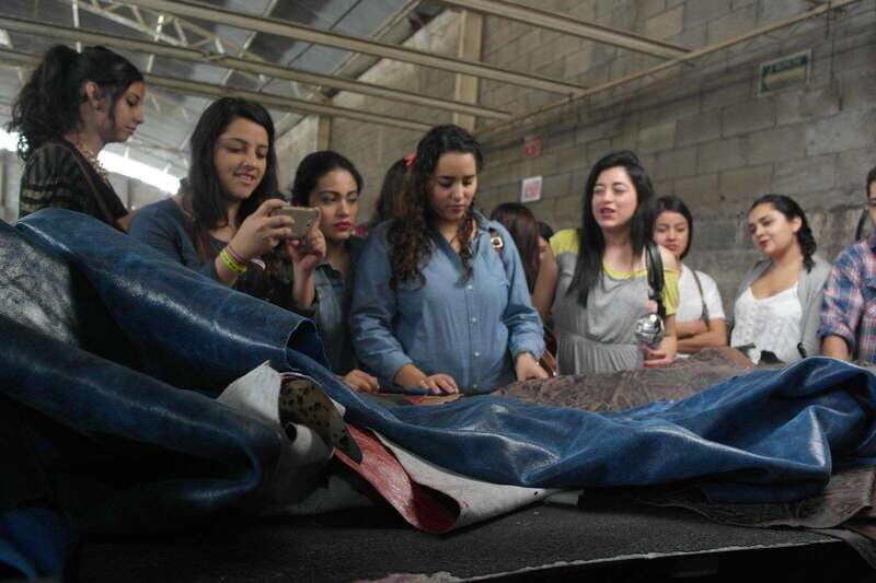 León: Leather and Footwear Industry Tour - Introduction